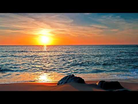 Y-Traxx - Mysteryland (Magdelayna's Reminiscence Mix)