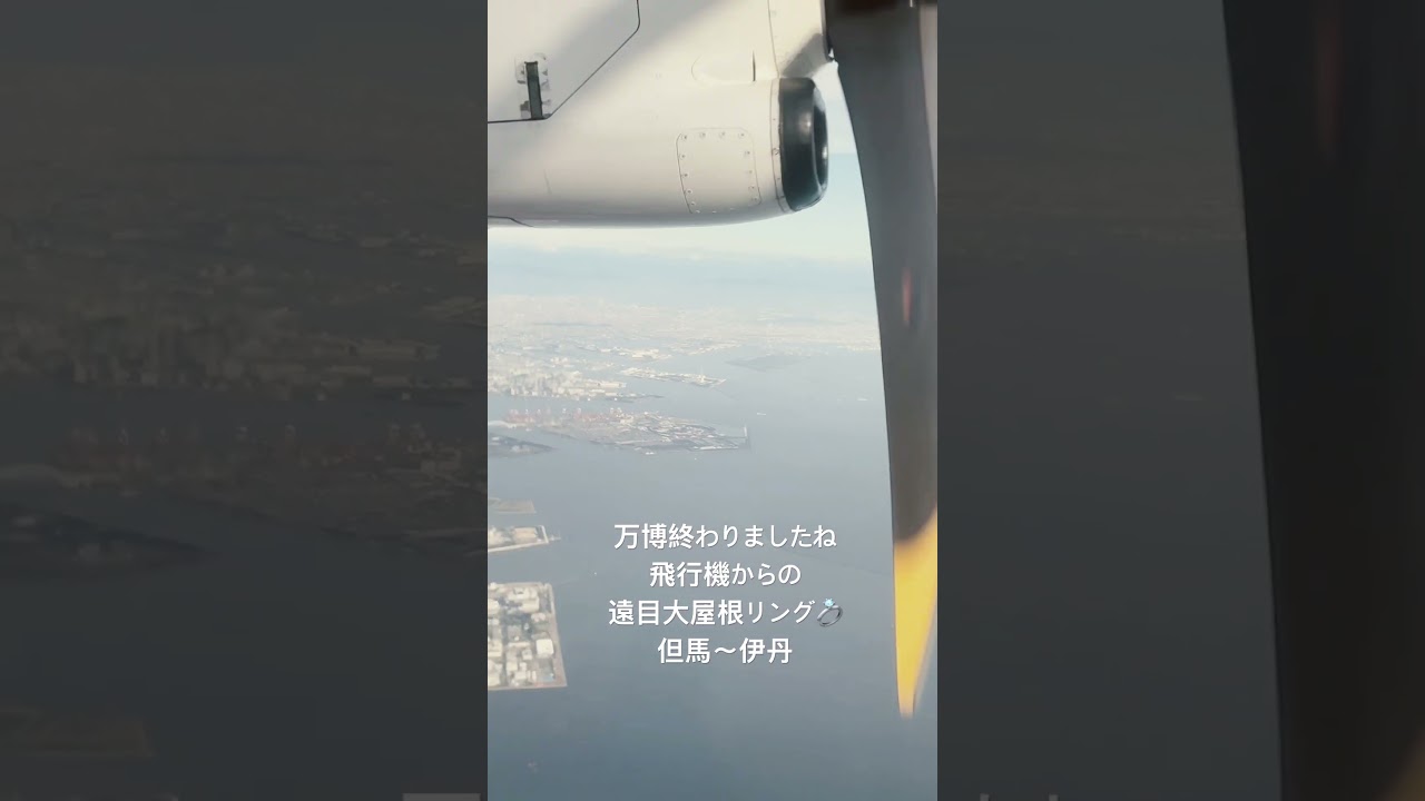 上空からの大屋根リング