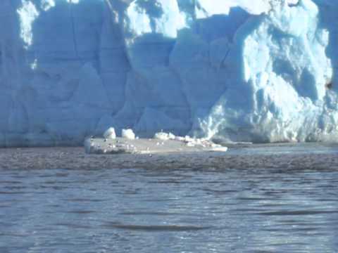 Patagonie Mars 2011   Canaux chiliens