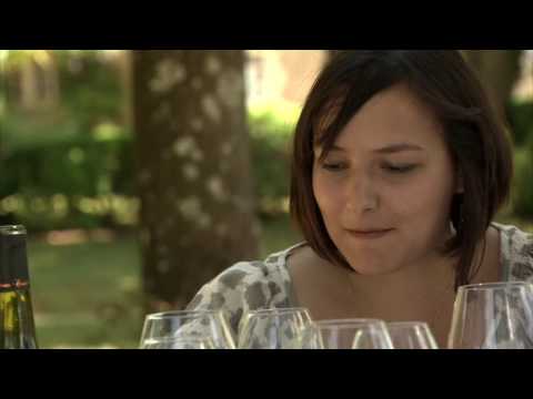 Video: Chéreau-Carré a familly and terroir story. - Chereau Carré | A family winery in the heart of Muscadet country