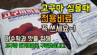 고구마농사 고구마순을 심으려고 고구마 밑거름으로 고구마전용비료를 구입하였습니다