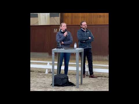 Hingste præsentation ved hånd - Blue Hors Zack, Blue Hors St Schufro and Blue Hors Santiano