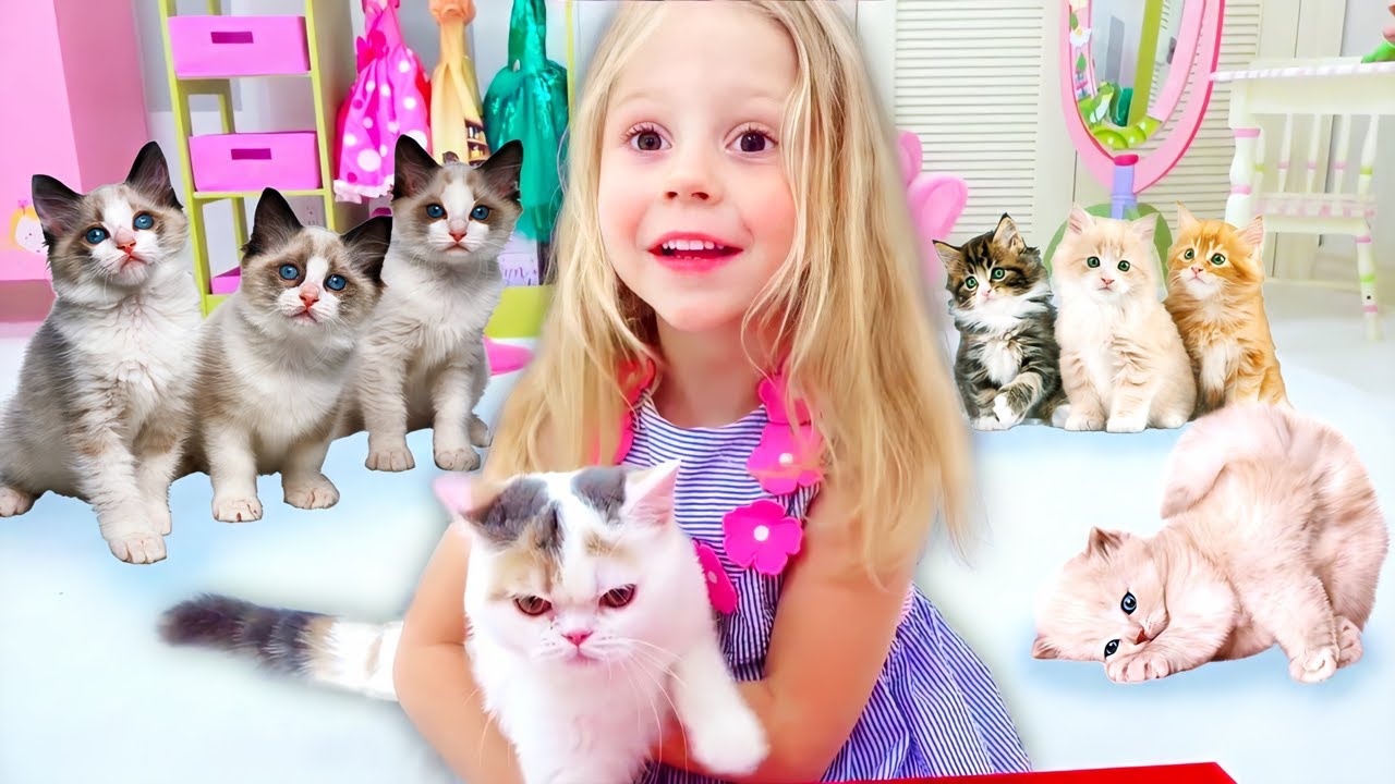 Nastya and her stories about cats and kittens