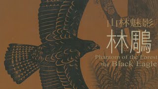 [玩樂]  林園圖書館講座分享