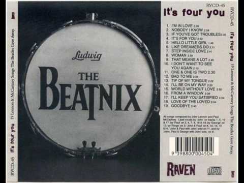The Beatnix - From a Window