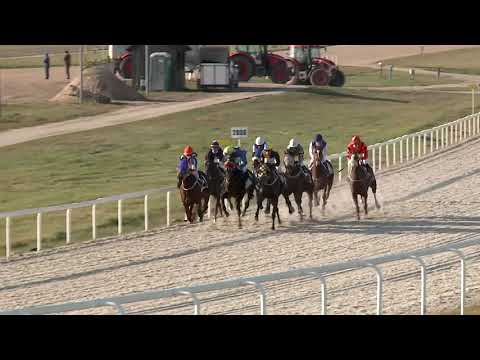 2020.12.06. 05. futam - LOVAREGYLETI DÍJ (HUN Gd-2)(szintetikus pálya)