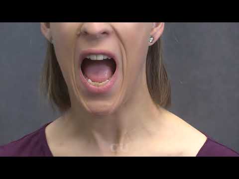 /ɑʊ/ – American English Sounds