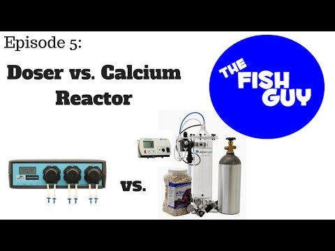 Ep. 5 -  Doser vs  Calcium Reactor