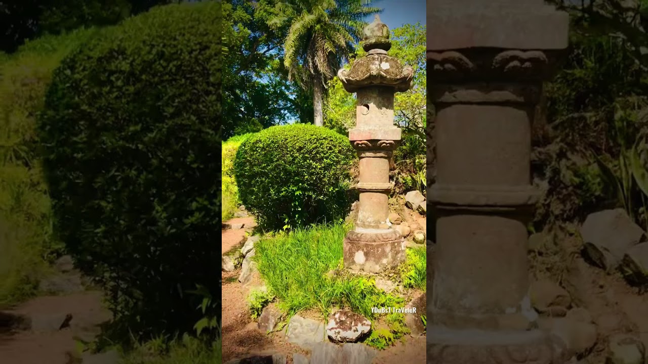 YouTube Short thumbnail