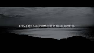 Dance for 1m of Rainforest with H Ibiza