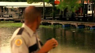 Swamp Sharks HD (2011)