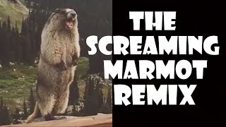 The Screaming Marmot - Remix Compilation