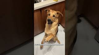 What #boardgames are we playing? #gsd #funnymemes