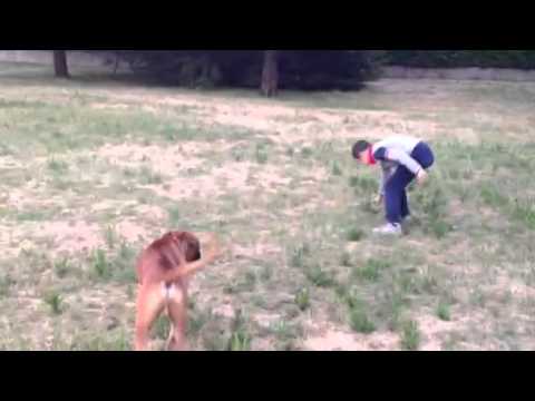 Maggio 2014 giochi da sbirz !!!