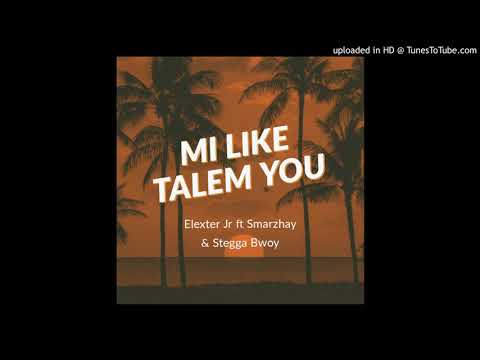 Elexter Jr ft Smarzhay & Stegga Bwoy - Mi like talem you (2020)