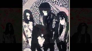 Scientists - Distortion