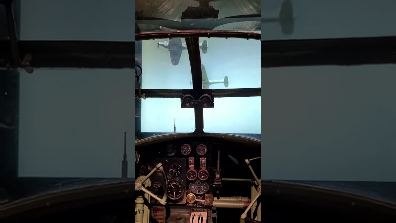 YouTube Short thumbnail