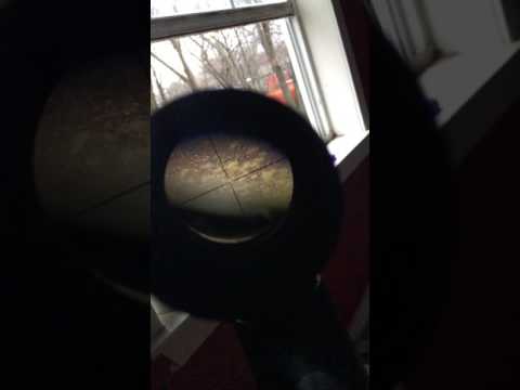 Umarex octane .177 caliber