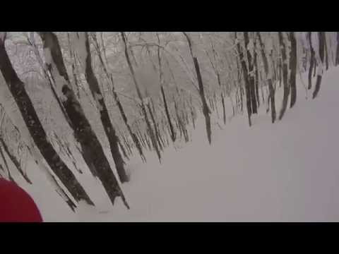 Nozawa Onsen Japan, 2014