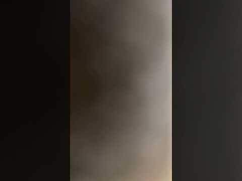 Singing Up a Storm - The Rose, conducted by Lady Shaula