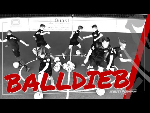 Balldieb - SEM Fußballtraining - 9 008BU
