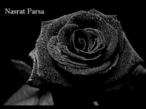 Nasrat Parsa - Say Shava Shava