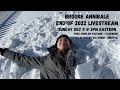 Brooke Annibale: End of 2022 Livestream!
