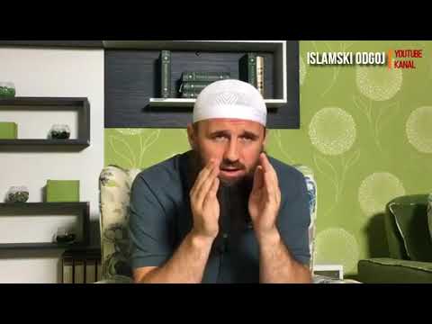 KOJI KUĆNI LJUBIMCI SU DOZVOLJENI A KOJI NISU? | mr.Elvedin Pezić