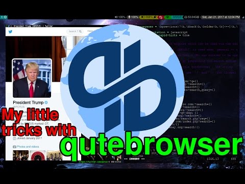 qutebrowser - All the Cool Kids should try it!