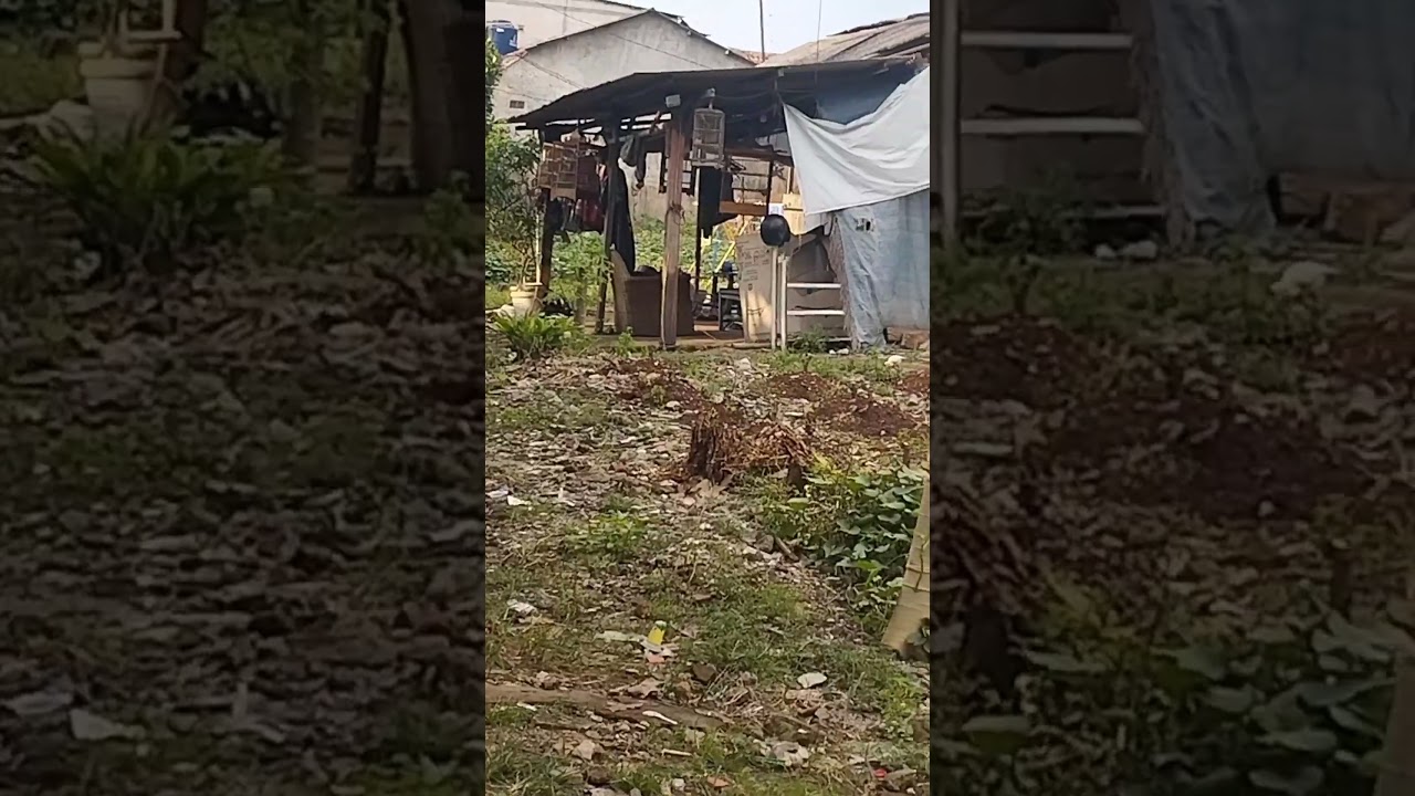 Lahan Murah Cinere 800m² Dalam Komplek Graha Cinere