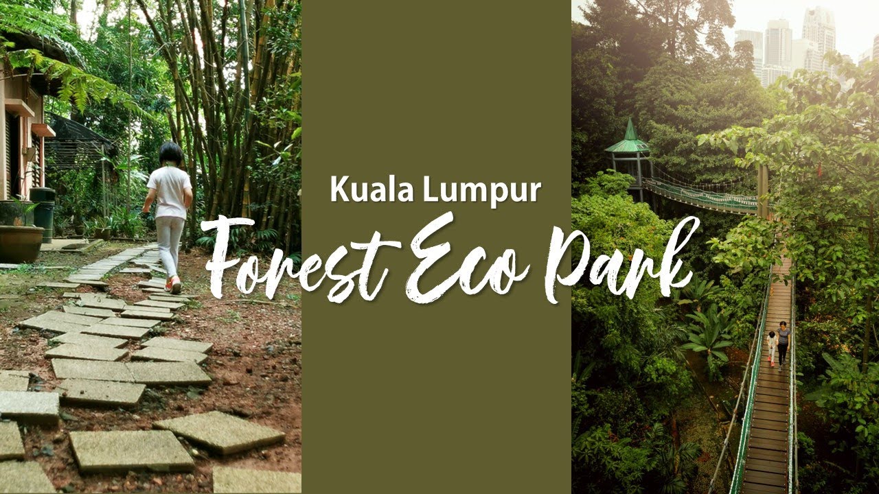 Discover footsteps and frames through KL Forest Eco Park.