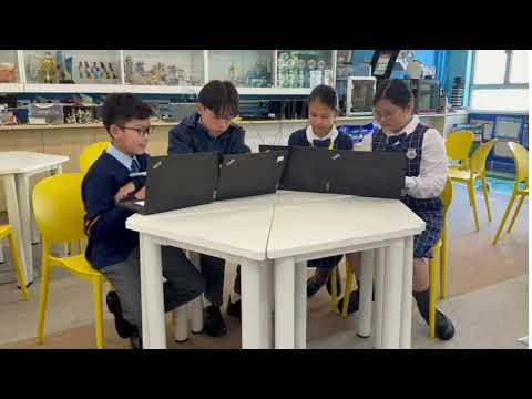video-image