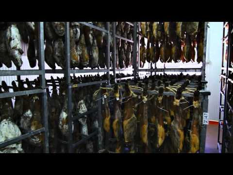 Premio Mercurio 2014- Embutidos Ballesteros S.L.