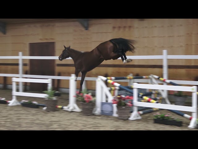 jumping Salta