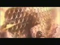 Human Compost - Blokes Fantasma
