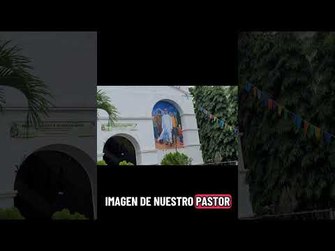 San Jose Las Flores.