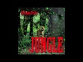 Brianna Perry - Jungle [Audio] 