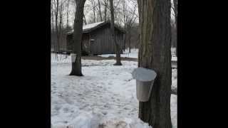 preview picture of video 'Westfield Heritage Village Maple Syrup Festival'