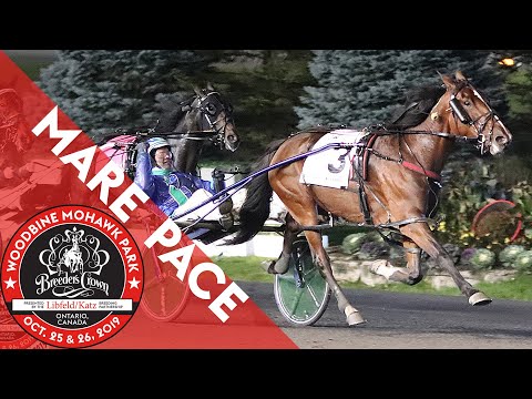 2019 Breeders Crown - Caviart Ally - Mare Pace