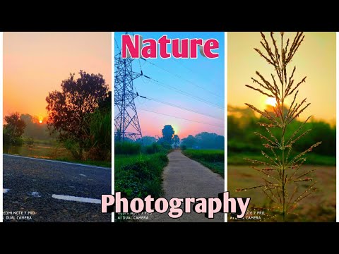 NATURE PHOTOGRAPHY TIPS AND TRICKS FOR MOBILE |Amazing Nature Photography Ideas