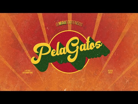 Presentación #SomosPelaGatos 2020 - Reggae en PelaGatos
