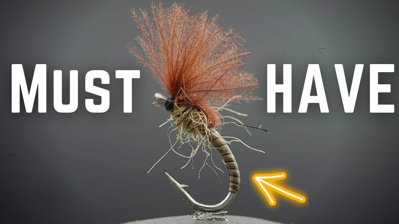 This Fly is My SECRET weapon! - YouTube