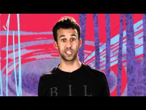 Walid El Sayed - Visão Terrorífica