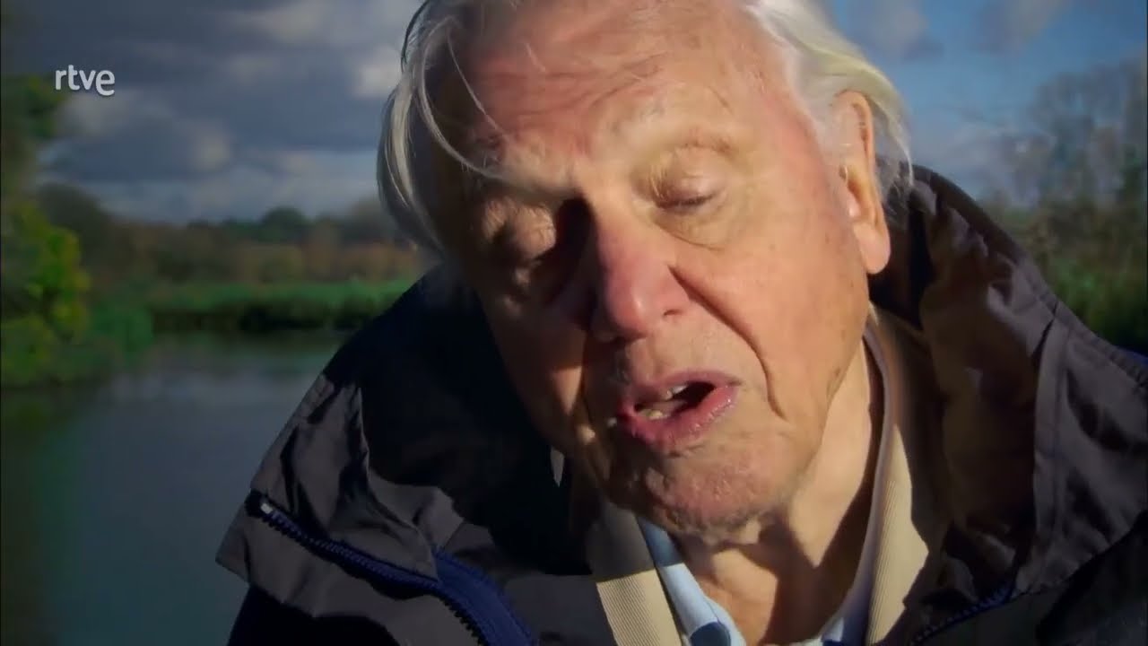 el ascenso de los animales con David attenborough ep 1 ducumetal completo