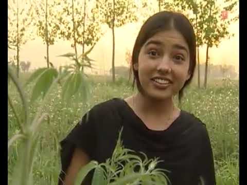 punjabi funny status