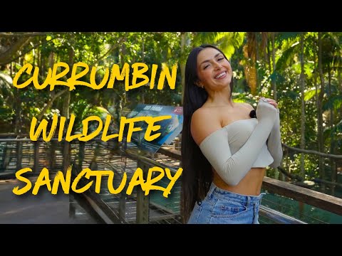 Exploring Australia’s Cutest Wildlife 🐨🦘
