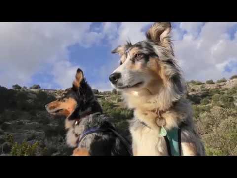 2018.02.06 EURO-Trip 2017/18 ITALIEN -SIZILIEN: Zielgebeit PANTALICA Totenstadt und Wandergebiet