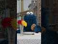 How To Eat A Fancy Cookie Sesamestreet