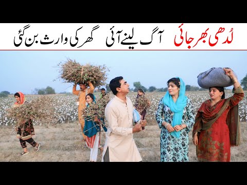 COMEDY 2025 | Ramzi,Noori, Bilo ,Bhootna,Shoki, Sanam, Falak Sher,Funny Video  Rachnavi Tv