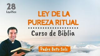 28. LEY DE LA PUREZA RITUAL - Curso de Biblia Católico